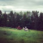 Shona Steven Neufeld - @harmonygarden - Instagram