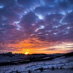 Steve Neufeld - @neuf_steve - Instagram