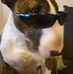 Stephen Newport - Facebook