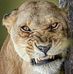 Steve Nickens - Facebook