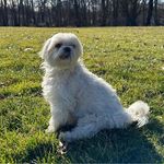 Steven Nickles - @nicklessteven - Instagram