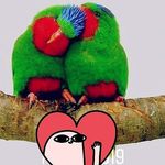 Steven Nolasco - @stevennolasco503 - Instagram