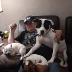 Steven Northrup - @mr.shellenger - Instagram