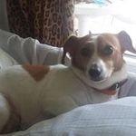 Steven Northrup - @stevenortyhrup1960 - Instagram
