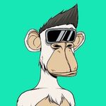 Steven Northrup - @bigcougsteve - Instagram