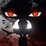 Steven Null - @null.steven - Instagram