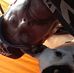 Steve Nuss - Facebook