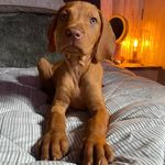 Steven Oakley - @stevenoakley1960 - Instagram