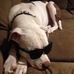 Steven Oaks - Facebook