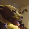 Steven Hohl - @stevenhohl - TikTok