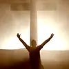 stevenohlson - @stevenohlson - TikTok