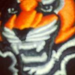 Steven Ohm - @stvohm - Instagram
