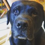 steven orme - @ormy1966 - Instagram