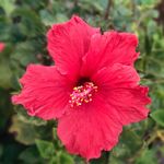 Steven Ortuno - @stevenortuno - Instagram