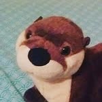 Steven The Otter - @steventheotter - Instagram