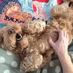 Steve Outen - @steve.is.not.here - Instagram