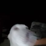 Steven Oxford - @stevenoxford58 - Instagram