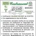 Steven Palacio - Facebook