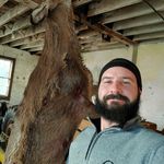 Steve Panek - @stevepanek - Instagram