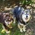 Steven Panek - Facebook