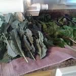 Steven Papendick - @stevenpapendick - Instagram