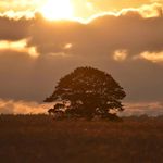 Steven Parish - @shootingfotography - Instagram