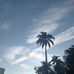 Steven Parra - Facebook
