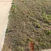 Steven Parrish - @steven.parrish4 - TikTok