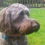 Steven Paterson - @steven.paterson.5 - Instagram