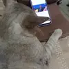 Steven Pedroza - @stevenpedroza1 - TikTok
