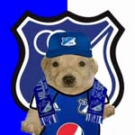 Steven Pedroza - @stevenpedroza30 - Instagram