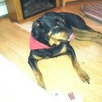 Steven Pelkey - @steven.pelkey - Instagram
