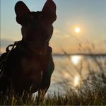 Steve Pelzer - @spelz_er - Instagram