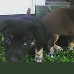 Steven Pemberton - @steven.pemberton.585 - Instagram
