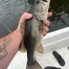 Steven Pender - @steven.pender - TikTok