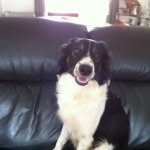 Steven Pendlebury - @jpthatmum - Instagram