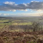 Steven Penman - @steven_penman3 - Instagram