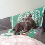 Steven Penman - @steven.penman.161 - Instagram