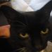 Steven Penney - Facebook
