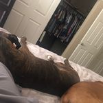 Steven Pennington - @steven.pennington - Instagram