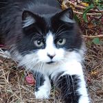 Steven Pepeto - @steven.pepeto - Instagram