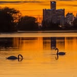 Steve Pepple Photography - @stevepepplephoto - Instagram