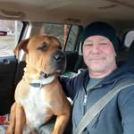 Steven  Percy - @stevperc - Instagram