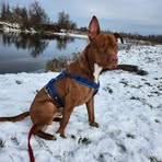 Steven Percy - Facebook