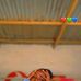 Stevie la Perle - Facebook