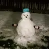 Steven Pellow - @steven.pellow - TikTok