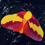 Steven Perrette - @stevenperrette - Instagram