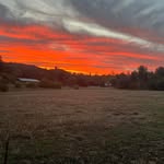 Steven Perrin - @smperrin1 - Instagram