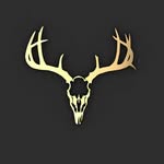 Steven Perrot - @stevenonvideo - Instagram