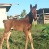 Stephen Persaud - @stephen.persaud3 - TikTok